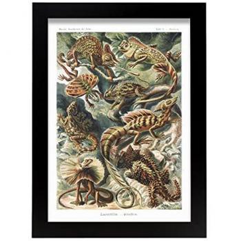 Lámina Artística Decorativa Vintage A4 de Lacermilia para Hogar y Estudio