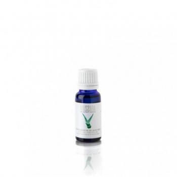 Aceites Esenciales Aloe Vera - Massada