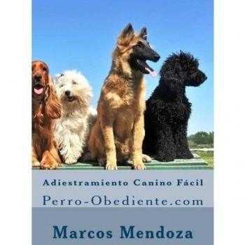Adiestramiento Canino Fácil: Perro-Obediente.com