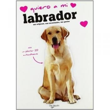 Quiero a mi labrador
