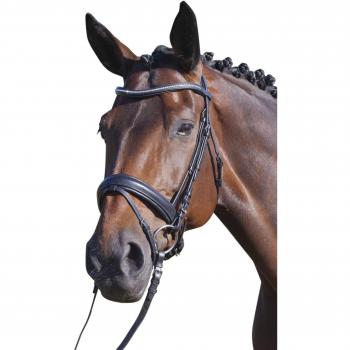 USG Bridle Dione - Accesorio de muserola de hípica