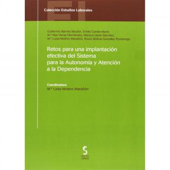 Retos para una implantación efectiva del Sistema para la Autonomía y Atención a la Dependencia: 14