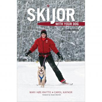 Skijor with Your Dog