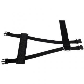 Carpoint 1434802 - Cinturón de seguridad para animales