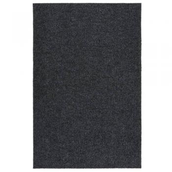Alfombra atrapa suciedad 100x150 cm Antracita