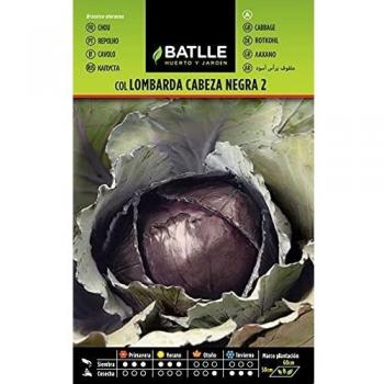 Col CABEZA NEGRA 2 - Lombarda