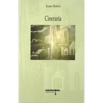 Cineraria