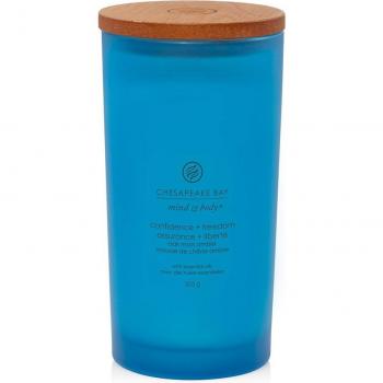 Chesapeake Bay Large Jar Candle - Mind & Body Collection, Oak Moss Amber Scent, Confidence & Freedom 355g