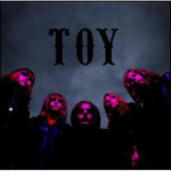 Toy