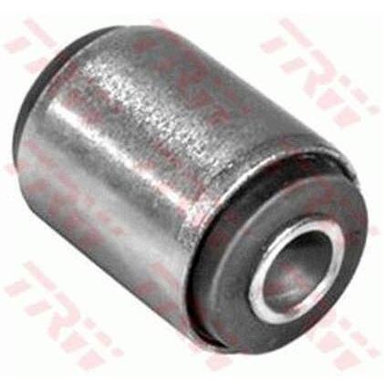 Imagen Principal