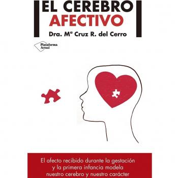El cerebro afectivo
