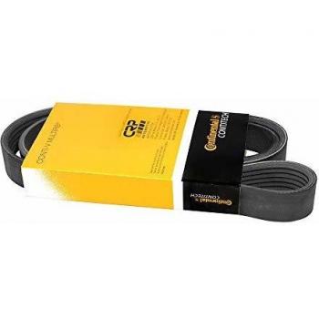 CONTITECH 6PK1217 CORREA