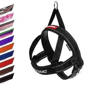 EzyDog Arnés de Perro de Ajuste rápido, arnés Acolchado Premium sin Tirar, Negro, pequeño