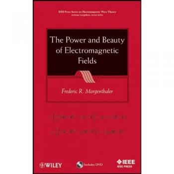 Electromagnetic Fields: Power and Beauty by Frederic R. Morgenthaler