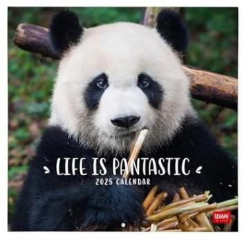 Calendario de Pared 2025 Pandastic Legami Multilingüe, 30 x 29 cm, 12 meses, planificador anual, espacio para notas, disponible en 6 idiomas, incluye signos del zodiaco y fiestas internacionales