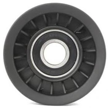 Polea Inversión/Guía RIDEX 312D0069 para Correa Poli V, Compatible con Honda CIVIC 8 y ACCORD 8