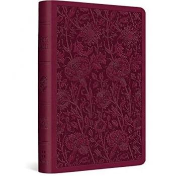 ESV Value Compact Bible