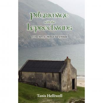 Pilgrimage with the Leprechauns: A true story of a mystical tour of Ireland: Volume 1