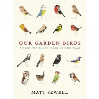 Nuestra Guía Ilustrada de Aves del Jardín por Matt Sewell - Edición Dura