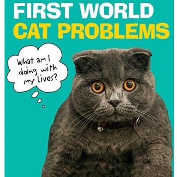 First world cat problems what am i doing with my livesz humour