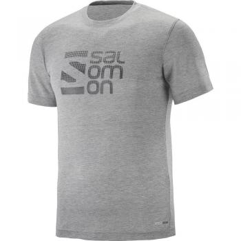SALOMON EXPLORE GRAPHIC SS TEE M - Camiseta, Hombre, Gris