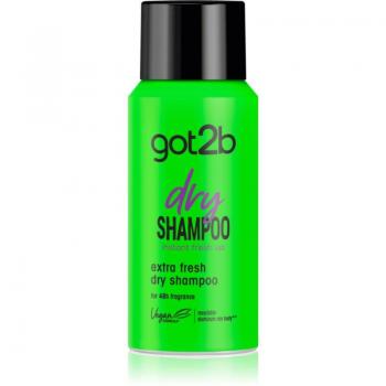 Got2B Fresh It Up Extra Fresh Refreshing Dry Shampoo 100ml
