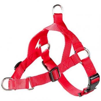 Arppe 4164012501 Arnés Educativo 2 Usos, Rojo, L
