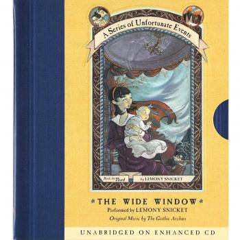 The Wide Window: 03