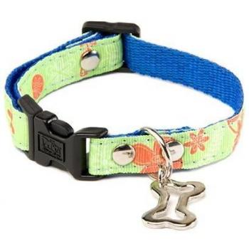 Collar y correa para perro Martin Sellier S, resistente y cómodo