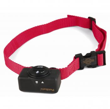 PetSafe Basic Bark Control Collar for Dogs 8 lb. and Up, Anti-Bark Training Device, Waterproof, Static Correction, Canine