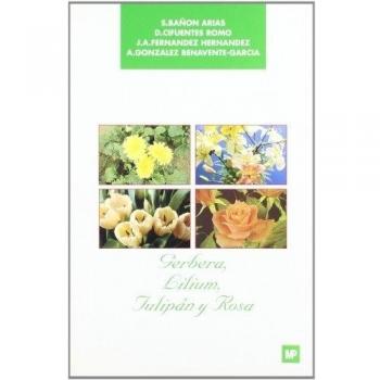Gerbera , lilium, tulipán y rosa
