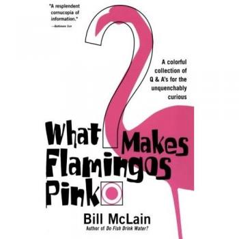 Curious Q&A Book: What Makes Flamingos Pink? - A Colorful Exploration of Nature's Wonders