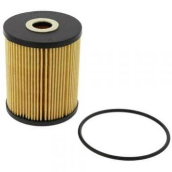 Champion COF100515E Bloque de Motor