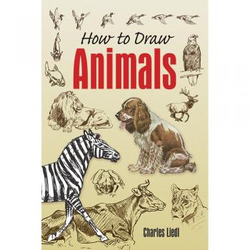 How to Draw Animals