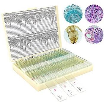 120 Preparaciones para microscopio, Microscopio preparados, Muestras preparadas para microscopio