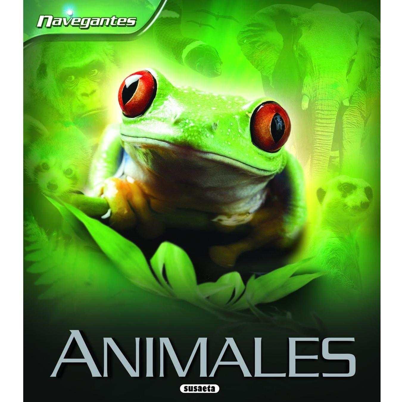 Imagen Principal