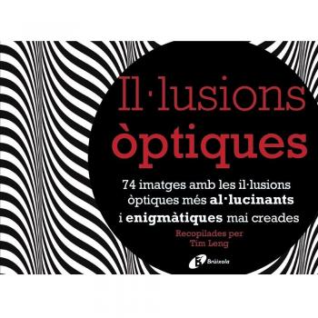 Il·lusions òptiques