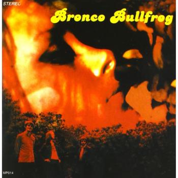 Bronco Bullfrog