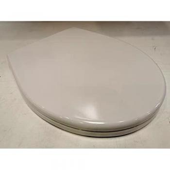 Asiento de WC Geberit Colibrì Blanco Brillo con Bisagras de Acero Duroplast 500.912.00.1