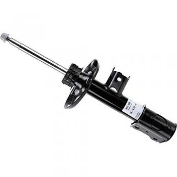 SACHS 317453