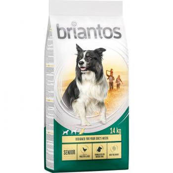 Briantos Senior con aves y arroz - 4 x 1 kg