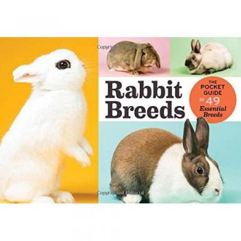 Rabbit Breeds