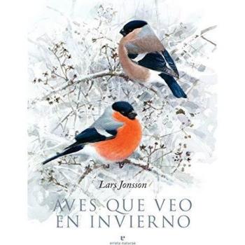 Aves que veo en invierno