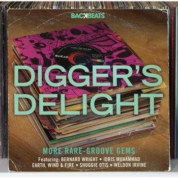 Digger's Delight -More Rare Groove Gems-