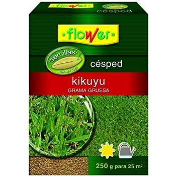 Semillas de Césped Kikuyu 250 g - Alta Resistencia y Crecimiento Rápido