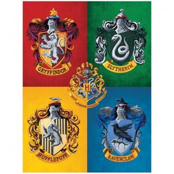 Lienzo Harry Potter Crestas Coloridas 30x40cm