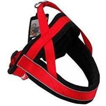 PAWISE Correa Collar Arnés 1 Unidad 300 g