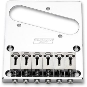 Fishman PRO-AST-101 Acoustic-Electric Guitar Pickup with Powerbridge System