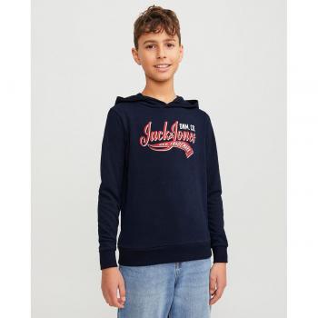 Jack & Jones Sudadera con Capucha Logo 2 Colores 24