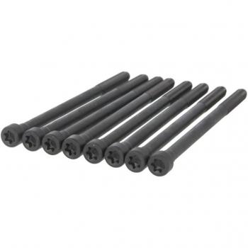 Juego de tornillos de culata REINZ 14-10276-02, VICTOR REINZ Kit de pernos, culata de cilindro 14-10276-02